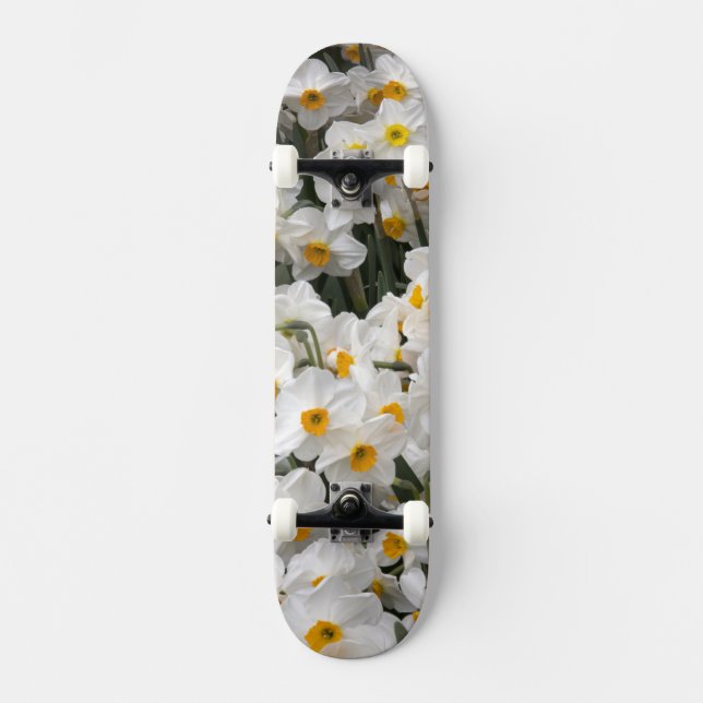 Skateboard WA, Valle de Skagit, patrón de narcisos (Anverso)
