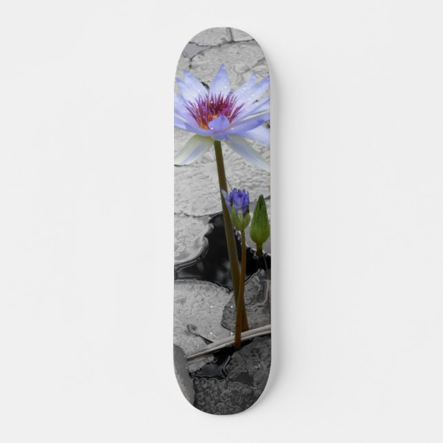 Skateboard Water Lily Beauty (Anverso )