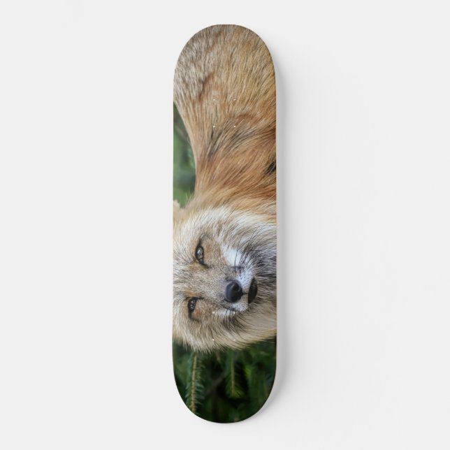Skateboard Wild Fox (Anverso)