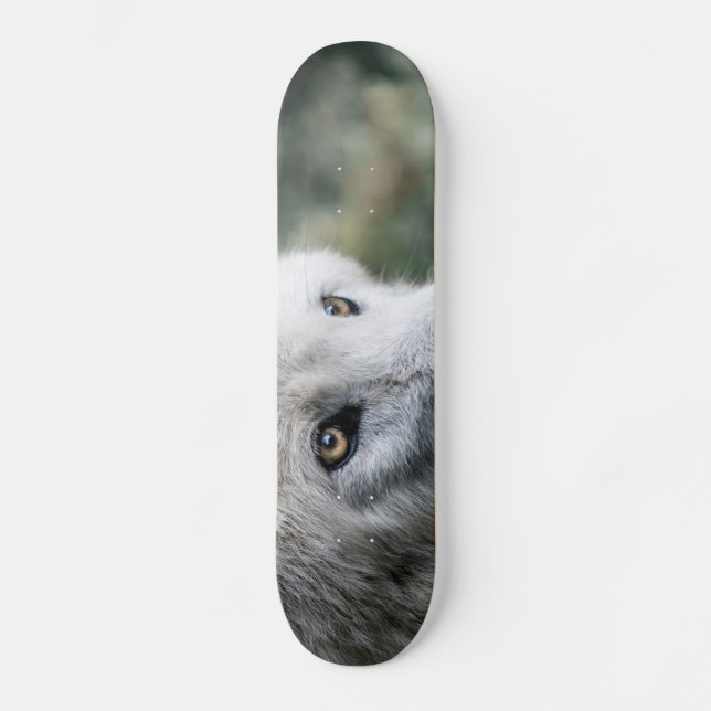Skateboard Wolf Stare (Anverso)