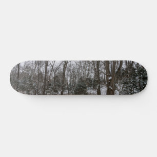 Skateboard Woody Snow Day
