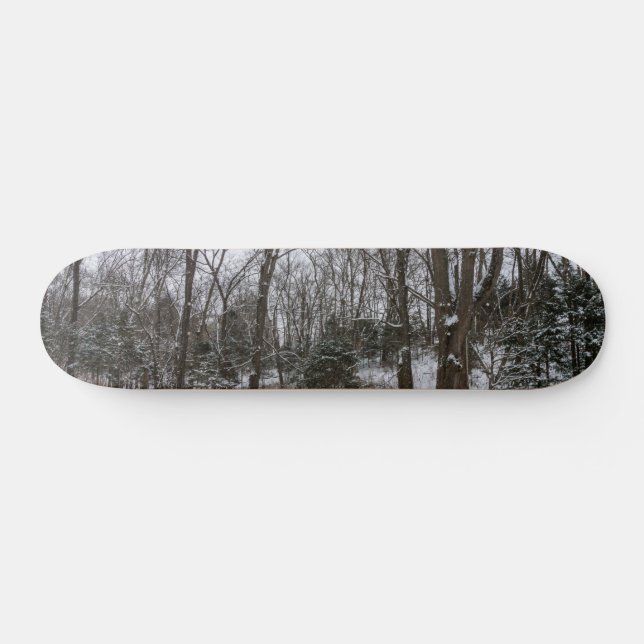 Skateboard Woody Snow Day (Horz)