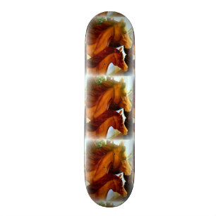 Skateboard yeguas y potros