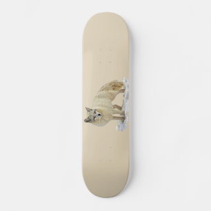 Skateboard Zorro Artico