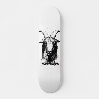 Skateboards WITCHHAVEN®