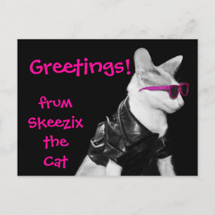 Skeezix la postal del gato