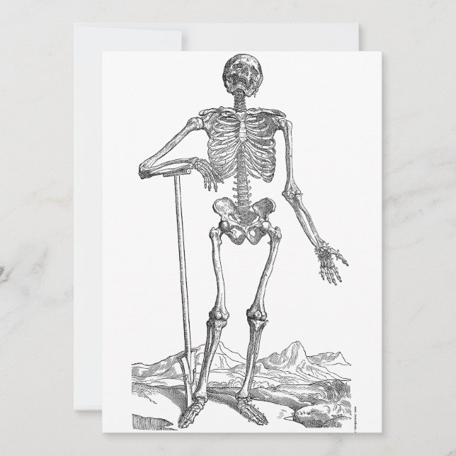 Skeleton (Anverso)
