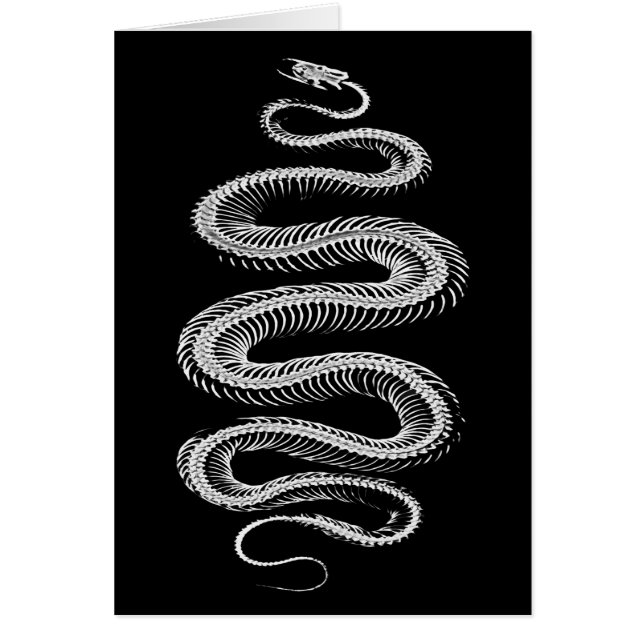 Skeleton de serpiente deslizante (Frente)