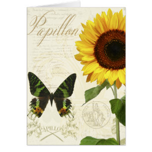 Sketchbook III de la historia natural
