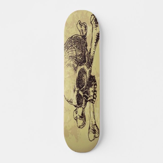Skull Skateboard (Anverso )