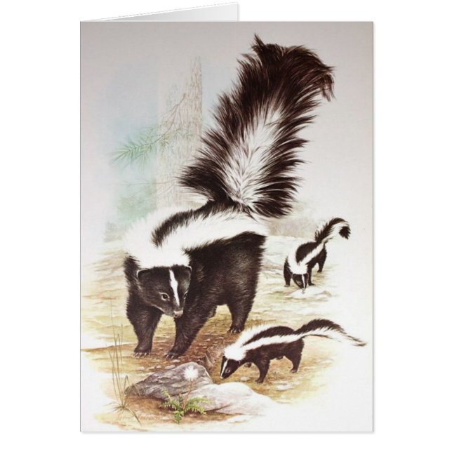 Skunks In The Snow (Frente)