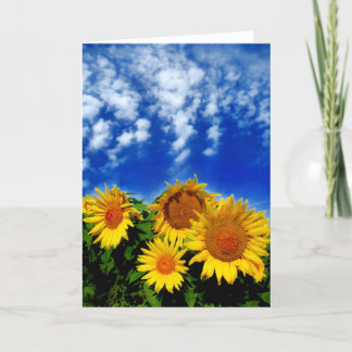 Sky y Bloom , tarjeta