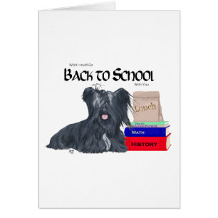 Skye Terrier De Vuelta a la Escuela