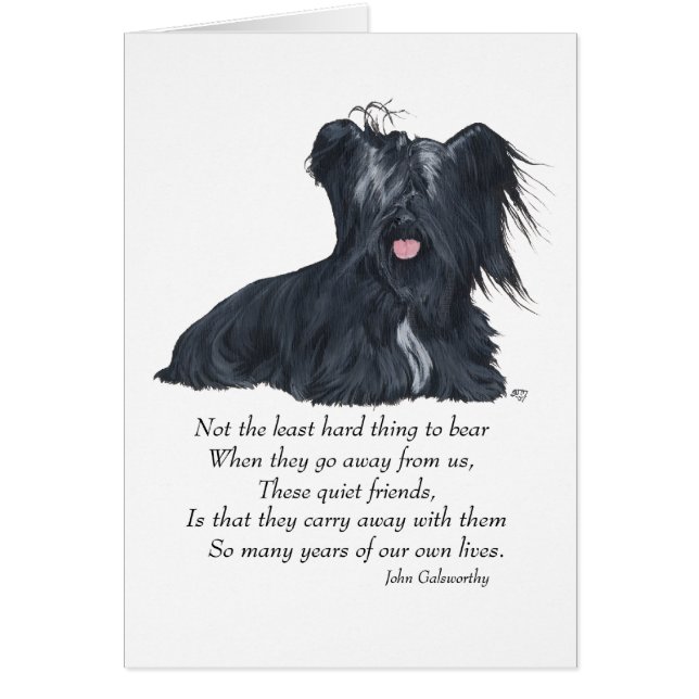 Skye Terrier Memory (Frente)