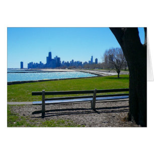 skyline de chicago
