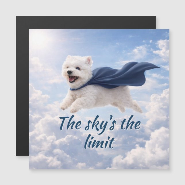 Sky's the Limit Magnetic Card (Anverso/Reverso)