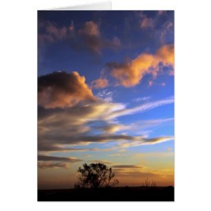 Skyscapes: Tarjeta de la reguera de Ferntree