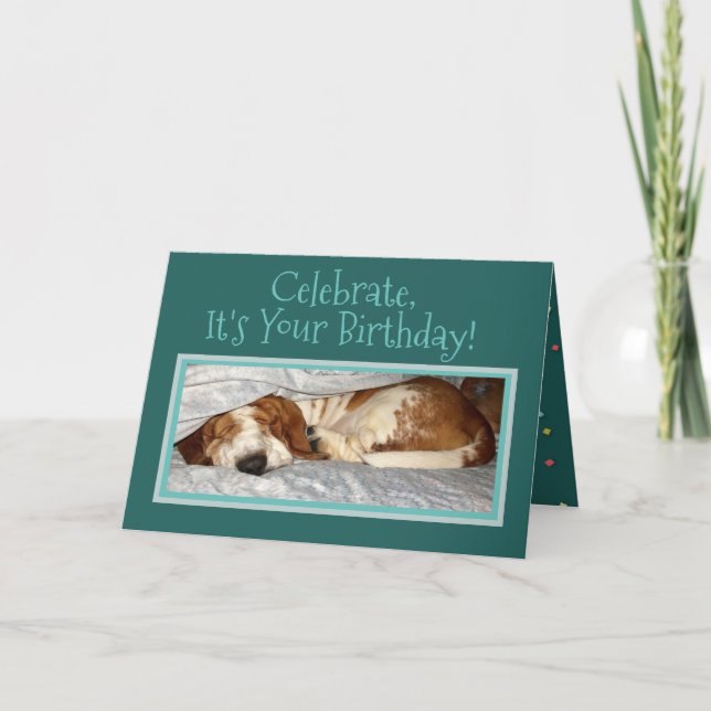 Sleepy Basset En La Tarjeta De Cumpleaños "Animal  (Anverso)