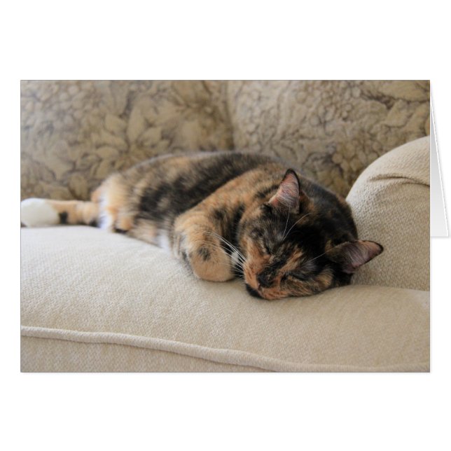 Sleepy Calico Cat, notas en blanco (Anverso (Horizontal))
