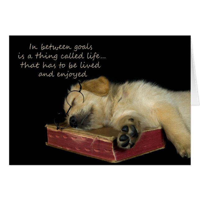 Sleepy Golden Retriever (Anverso (Horizontal))