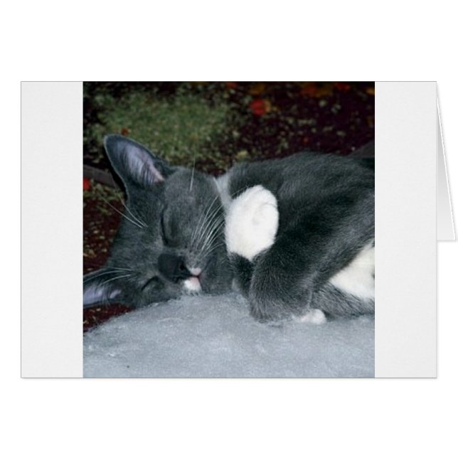 Sleepy Gus (Anverso (Horizontal))