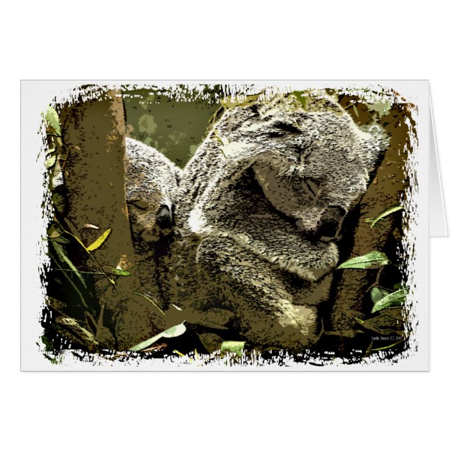 Sleepy Koalas (Anverso (Horizontal))