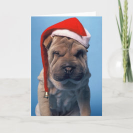 Sleepy Shar Pei x mas navidad perro