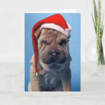 Sleepy Shar Pei x mas navidad perro