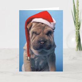 Sleepy Shar Pei x mas navidad perro