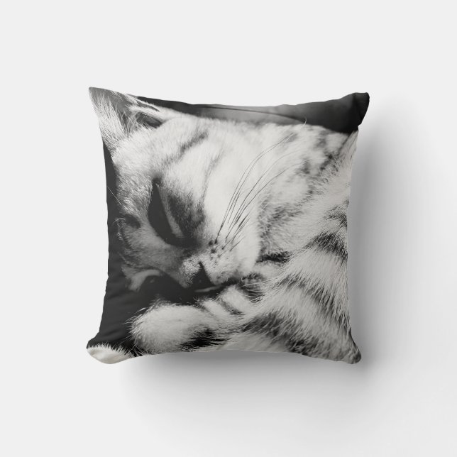 SleepyCat almohada horrorizas meliert (Anverso)