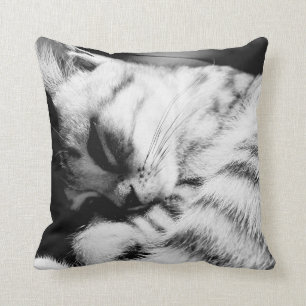 SleepyCat almohada horrorizas meliert