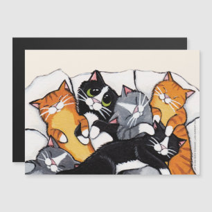 Slepover de gato y tuxedo tabulado