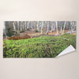 Slumbres de árboles en las mezquitas de otoño - Pe