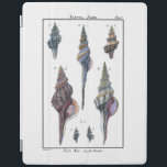 Smart Cover Para iPad Siete Agujas Coloridas<br><div class="desc">El artista Denis Diderot es talentoso y conocido por sus imágenes de la vida marina. En esta vívida imagen, captura siete coloridas conchas de concha en sus estilos más naturales y únicos. A menudo, las zanjas son agrietadas y tienen todas las formas y tamaños. Consigue tu producto de conchas marinas...</div>
