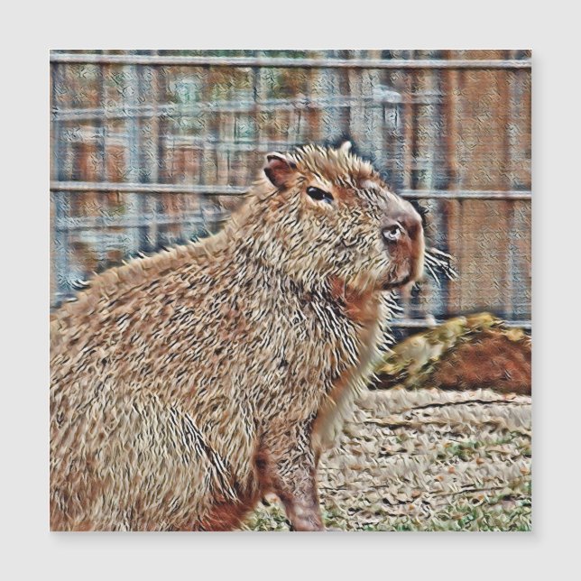 SmartMix Animal- Capibara (Anverso)