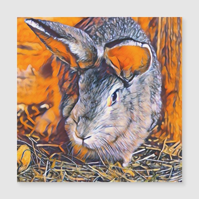 smartmix animal- conejo (Anverso)