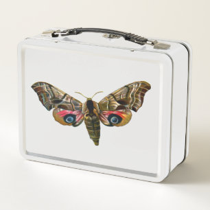 Smerinthus ocellata - Ojos Hawk-Moth - Imagen de c