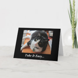 Smokey el gato consigue pronto la tarjeta bien