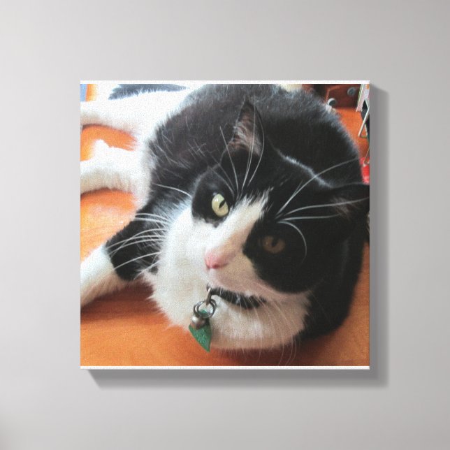 Smokey El Lienzo De Gatos Imprimir (Anverso)