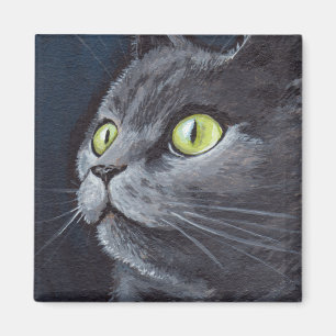 Smokey viejo - imán gris del gato