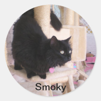 Smoky - ¡Gatos negros gobiernan! Pegatina