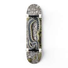 Snake 737" Skateboard