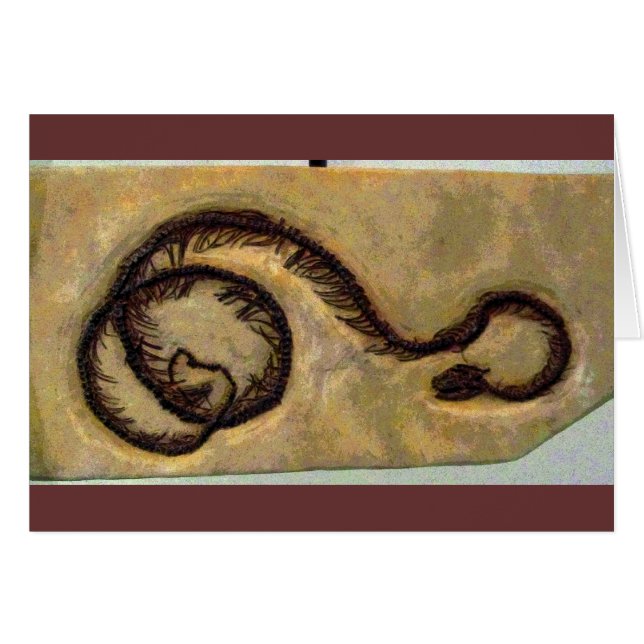 Snake Fossil CB (Anverso (Horizontal))
