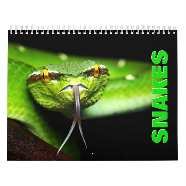Snakes [1] Calendario de pared (Tapa)