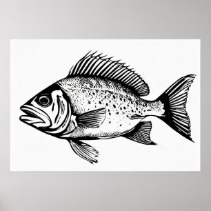 Snapper - Impresión de peces