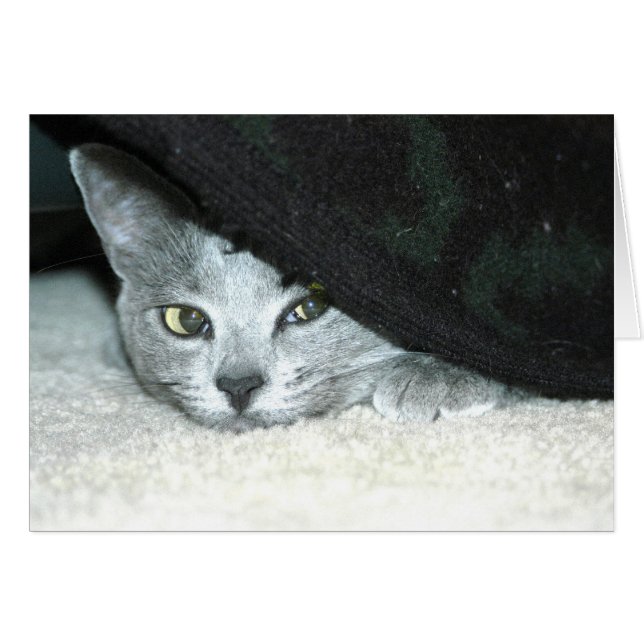 Sneaky Karma (Anverso (Horizontal))