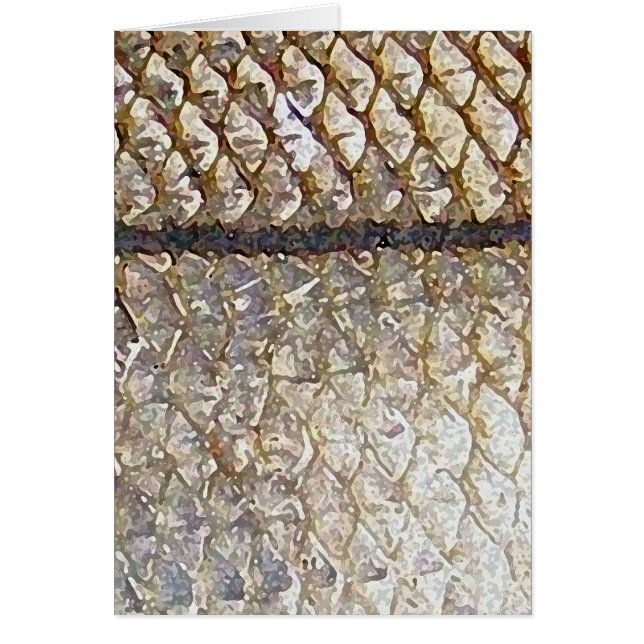 Snook - tarjeta (Frente)