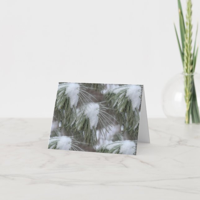 Snow And Ice Winter Nature Photography  (Anverso)