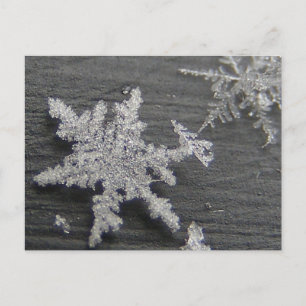 Snow Flake 45 ~ postal