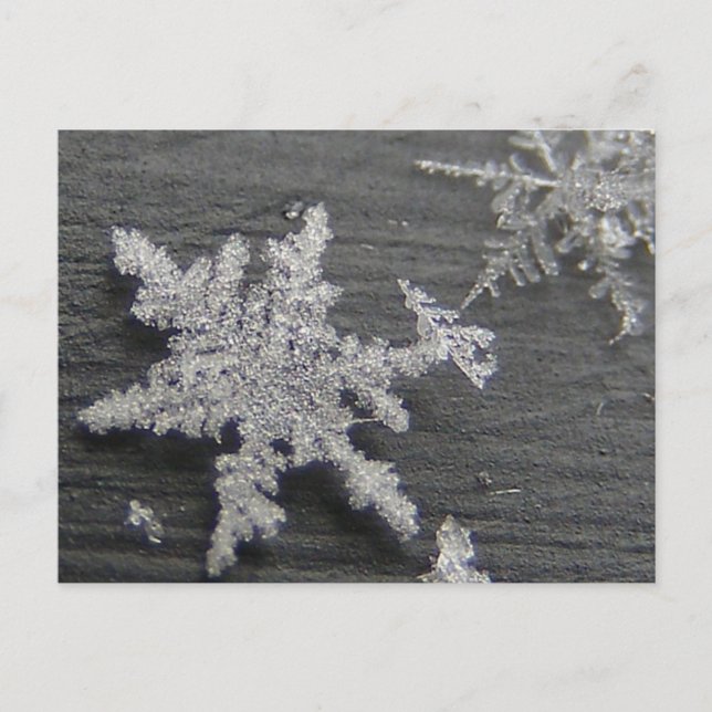 Snow Flake 45 ~ postal (Anverso)